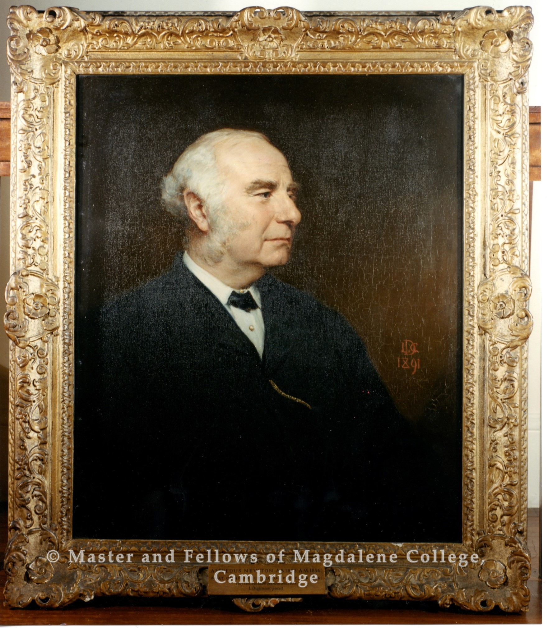 2200d-alfred-newton