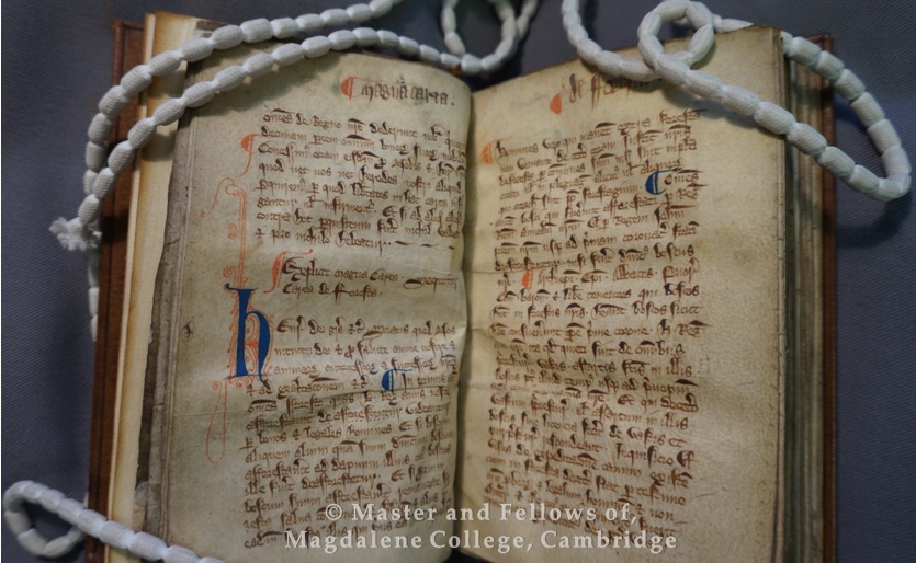 image1wm