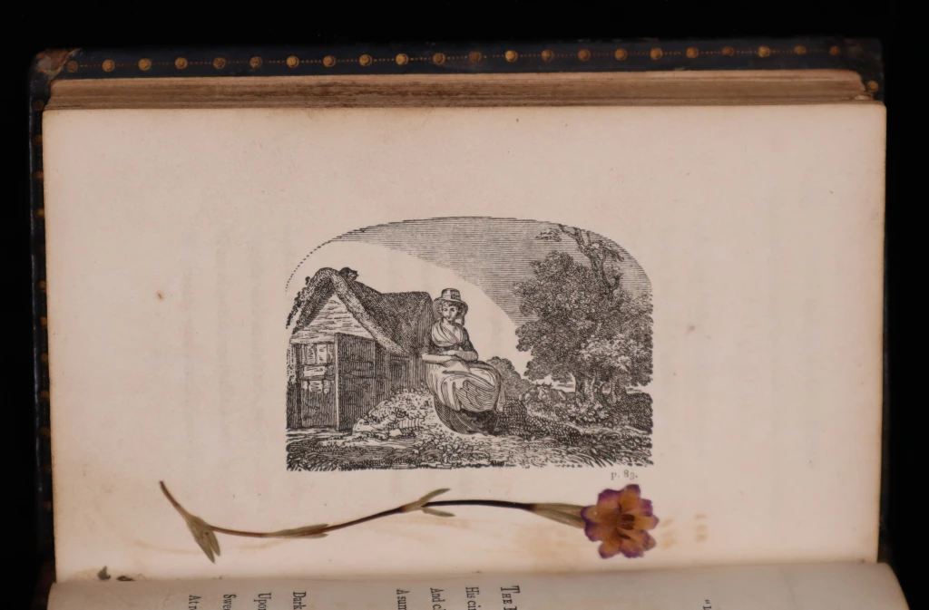 n.4.20-p.83-pressed-flower-1