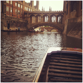 punting3