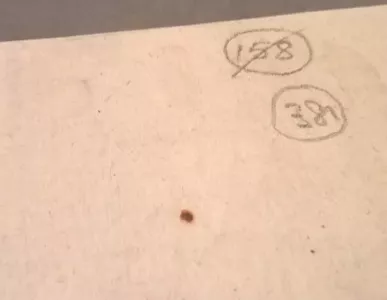 fig-1-metal-shard-embedded-in-the-paper4