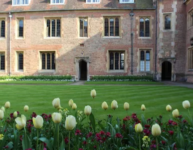 first_court _tulips