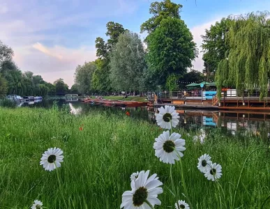 flowers_river